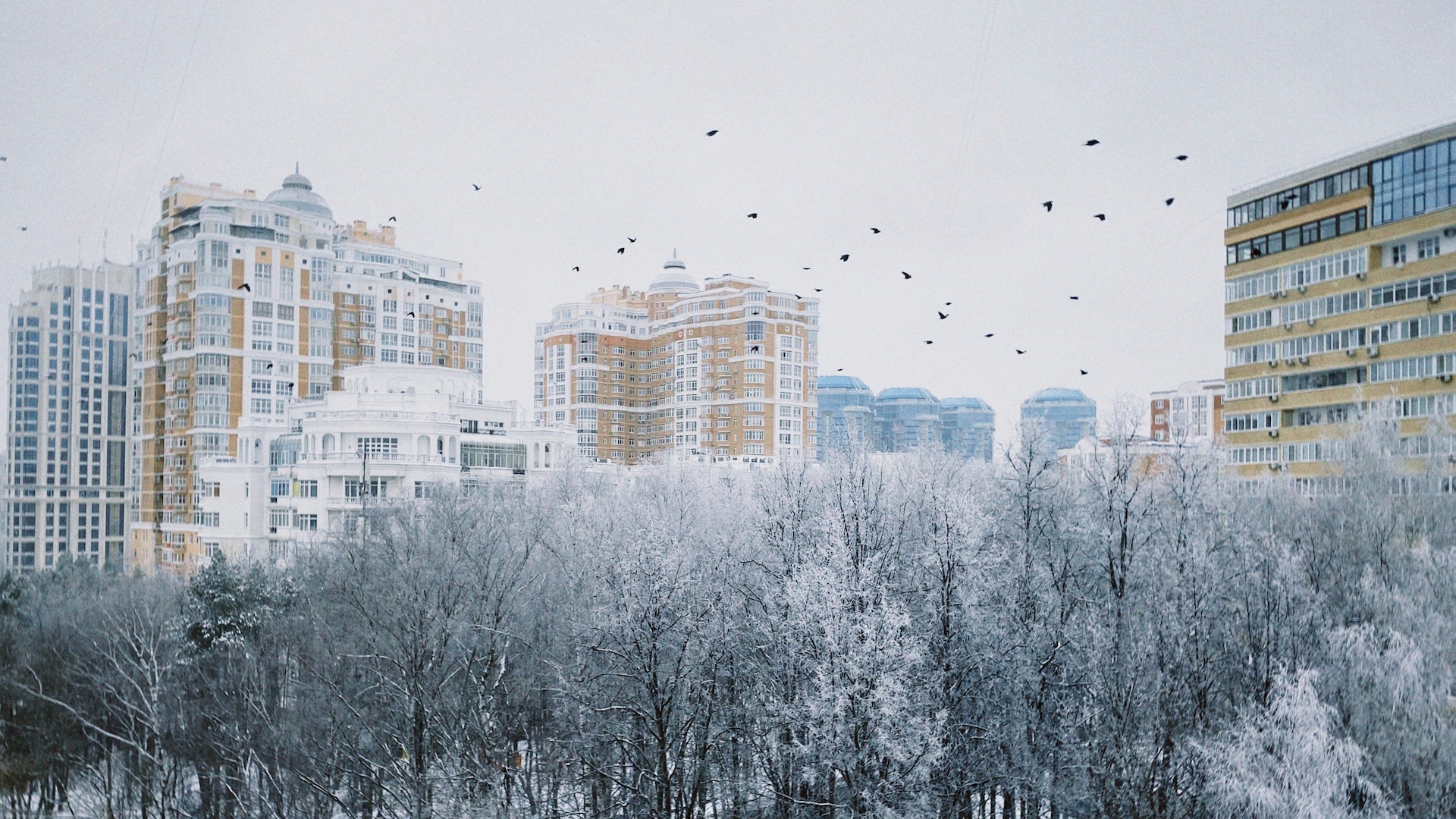 Stadt im Winter