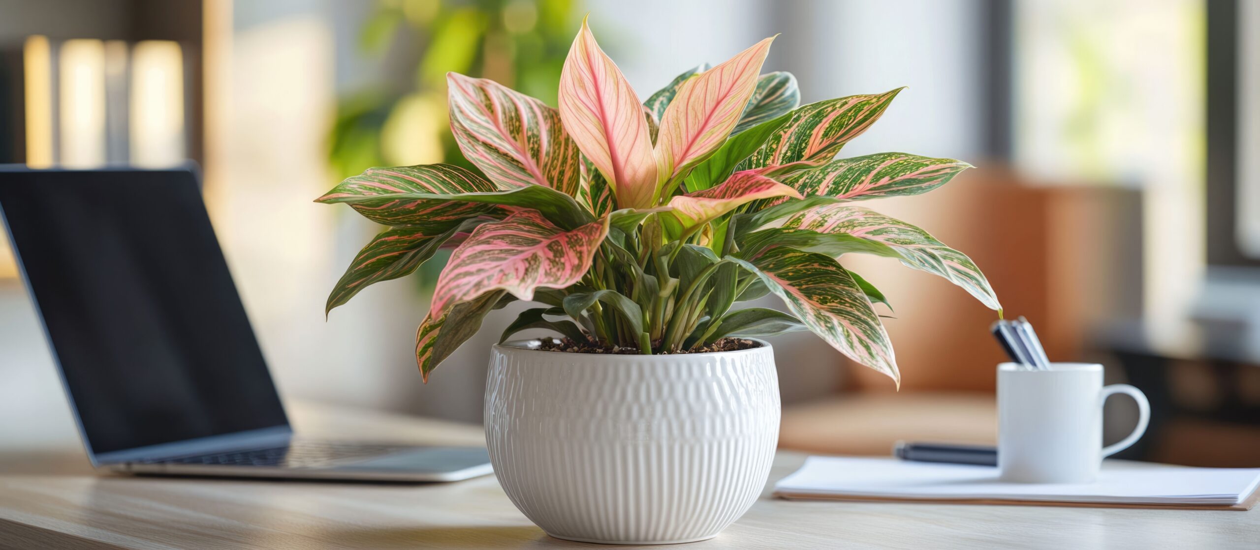 Stilvoller Blumentopf mit bunter Pflanze auf Schreibtisch