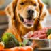 Hundeschnitte mit Hundenapf mit rohem Fleisch, gemahlenem Putenfleisch, Karotten, Brokkoli, rohem Eigelb obendrauf. Gesundes Rohfutter für Hunde. Generative KI.